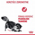 Royal Canin FHN Digestive Care w sosie 12x85g