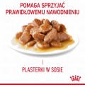 Royal Canin FHN Digestive Care w sosie 12x85g