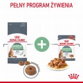 Royal Canin FHN Digestive Care w sosie 12x85g