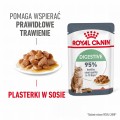 Royal Canin FHN Digestive Care w sosie 12x85g