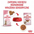 Royal Canin FHN Kitten Sterilised w sosie 12x85g