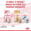 Royal Canin FHN Kitten Sterilised w sosie 12x85g