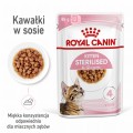 Royal Canin FHN Kitten Sterilised w sosie 12x85g
