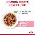Royal Canin FHN Kitten Instinctive w sosie 12x85g
