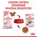 Royal Canin FHN Kitten Instinctive w sosie 12x85g