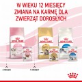 Royal Canin FHN Kitten Instinctive w sosie 12x85g