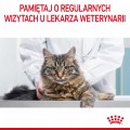 Royal Canin FCN Hairball Care w sosie 12x85g