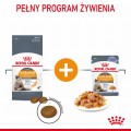 Royal Canin FCN Hair&Skin Care w galaretce 12x85g