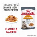 Royal Canin FCN Hair&Skin Care w galaretce 12x85g