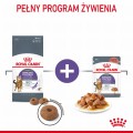 Royal Canin FCN Appetite Control w sosie 12x85g