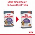 Royal Canin FCN Appetite Control w sosie 12x85g