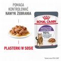 Royal Canin FCN Appetite Control w sosie 12x85g