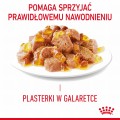 Royal Canin FCN Appetite Control w galaretce 12x85g