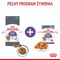 Royal Canin FCN Appetite Control w galaretce 12x85g
