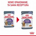 Royal Canin FCN Appetite Control w galaretce 12x85g
