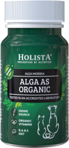 Holista Alga as Organic 90 tabletek