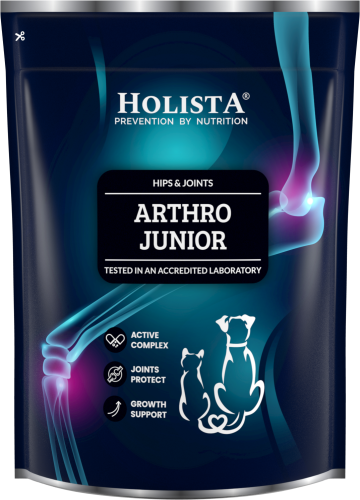 HolistaPets Arthro Junior 600g