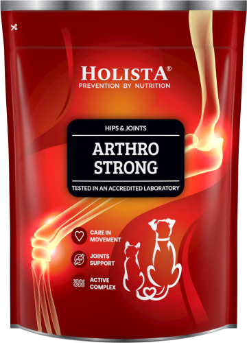 HolistaPets Arthro Strong 600g