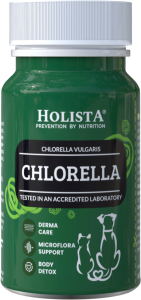 Holista Chlorella 90 tabletek