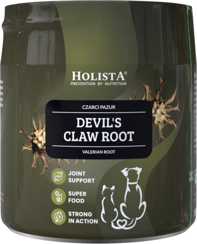 HolistaPets Devil's Claw 100g