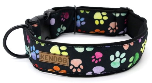 KENDOG Kolorowe Łapki Obroża M 4cm 41-66cm