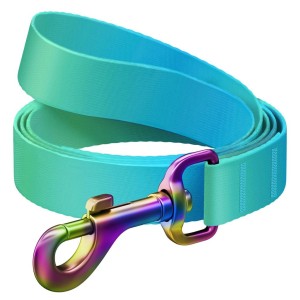 WAUDOG Smycz NylonNiebieska Gradient M 20mm 122cm