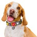 WAUDOG Obroża Nylon z QR Furry Monster M 20mm 28-40cm