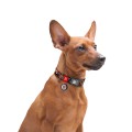 WAUDOG Obroża Nylon z QR Zębate Potwory L 25mm 33-49cm