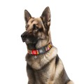 WAUDOG Obroża Nylon z QR Awokado Róż XXL 35mm 46-70cm