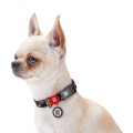 WAUDOG Obroża Nylon z QR Pomarańcze XXL 35mm 46-70cm