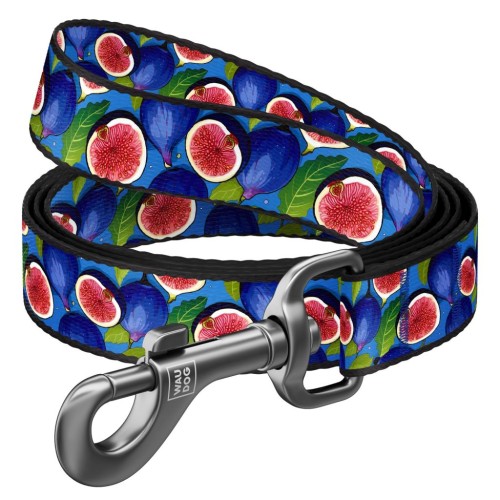 WAUDOG Smycz Nylon Figa L-XXL 25mm 122cm