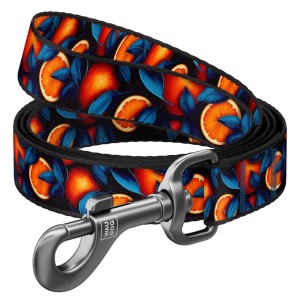 WAUDOG Smycz Nylon Pomarańcze L-XXL 25mm 122cm
