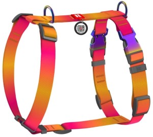 WAUDOG Szelki Guard z QR M 20mm 47-65cm Pomarańczowe Gradient 2 klamry