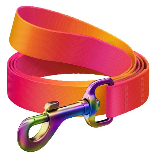 WAUDOG Smycz Gradient Pomarańczowa S 15mm 122cm