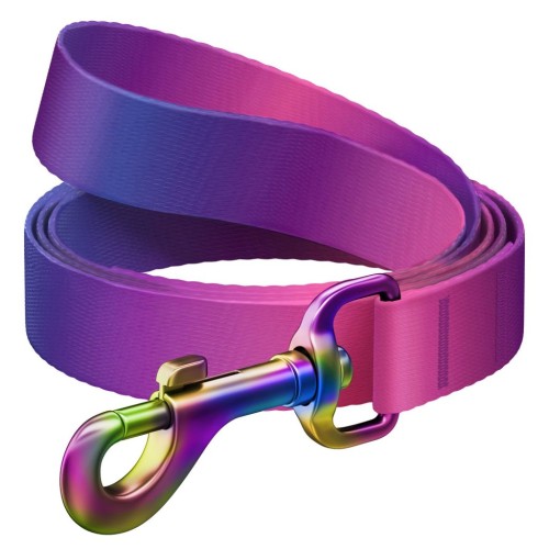 WAUDOG Smycz Gradient Fioletowa L-XXL 25mm 122cm