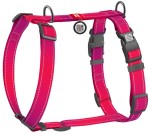 WAUDOG Szelki Mono z QR Różowe M 20mm 45-60cm