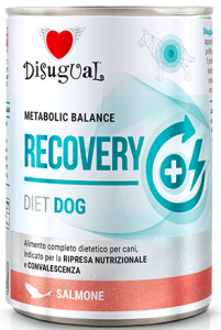 Disugual Veterinary Recovery Łosoś 400g