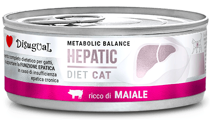 Disugual Kot Veterinary Hepatic Wieprzowina 85g