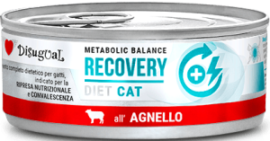 Disugual Kot Veterinary Recovery Jagnięcina 85g
