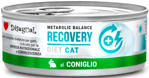 Disugual Kot Veterinary Recovery Królik 85g