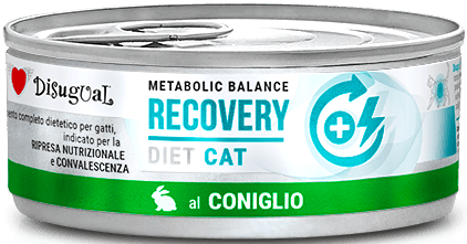 Disugual Kot Veterinary Recovery Królik 85g