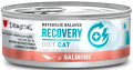 Disugual Kot Veterinary Recovery Łosoś 85g