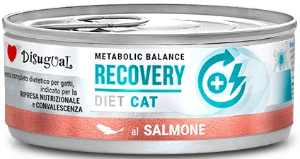 Disugual Kot Veterinary Recovery Łosoś 85g