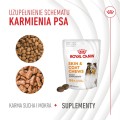 Royal Canin Skin & Coat Adult Dog Supplements 240g