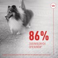 Royal Canin Skin & Coat Adult Dog Supplements 240g