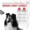 Royal Canin Skin & Coat Adult Dog Supplements 240g