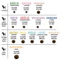 Paka Zwierzaka Sucha Puppy Jagnięcina Dzika Róża L 9kg