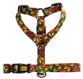 Dingo Szelki Guard City Dubaj M 3/38-70cm