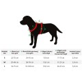 Dingo Szelki Guard City Dubaj M 3/38-70cm