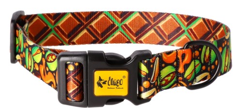 Dingo Obroża City Dubaj 3/60cm